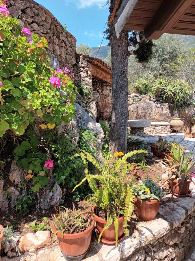בארבאטי Aphrodite'S Maisonette On Corfu Island מראה חיצוני תמונה
